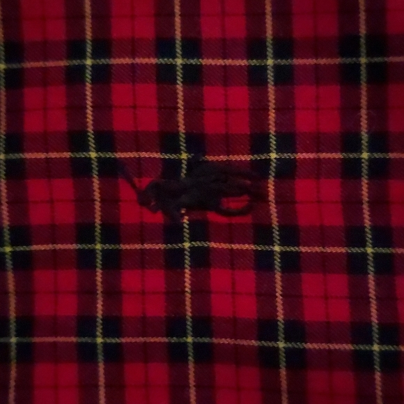 POLO | RALPH LAUREN | PLAID BUTTON UP SHIRT | SIZE XXL - Picture 4 of 7